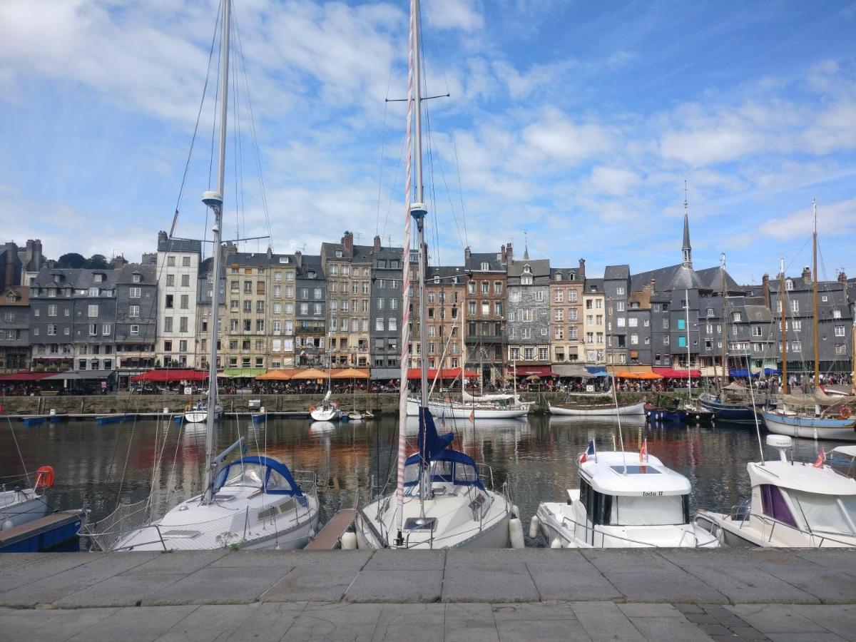 Studio Centre Historique Honfleur Exteriör bild